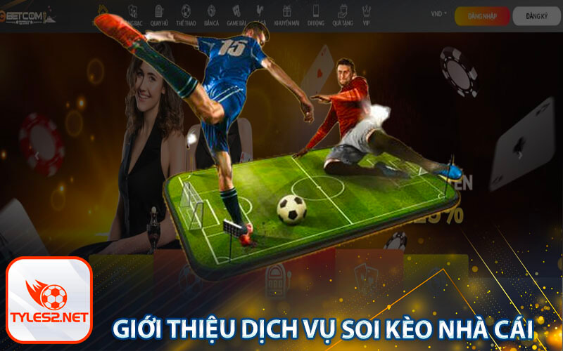 Giới thiệu dịch vụ soi kèo nhà cái