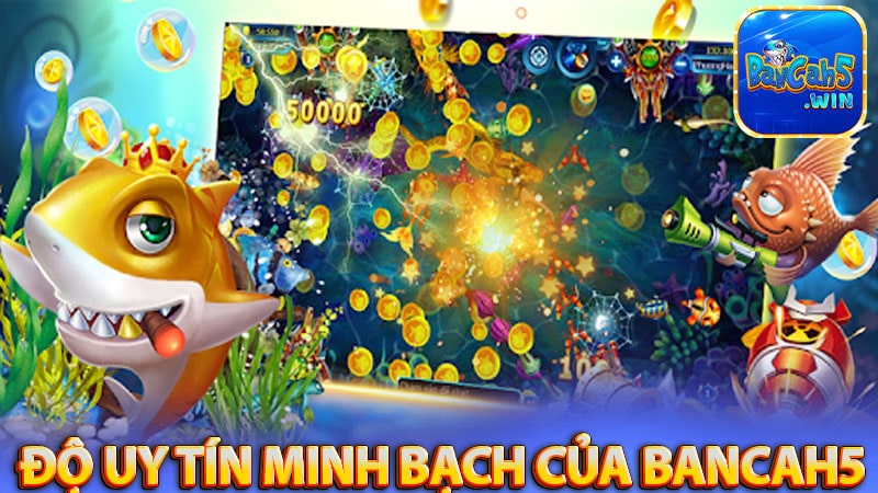 Độ uy tín minh bạch của bancah5