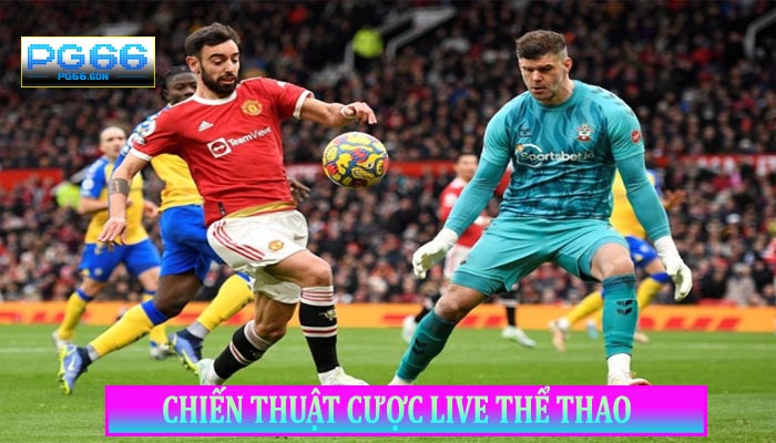 Chiến Thuật Cược Live Thể Thao