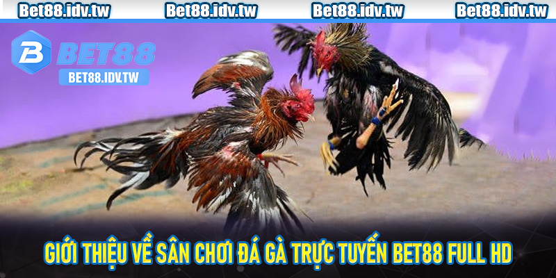 Giới thiệu về sân chơi Đá Gà Trực Tuyến Bet88 Full HD