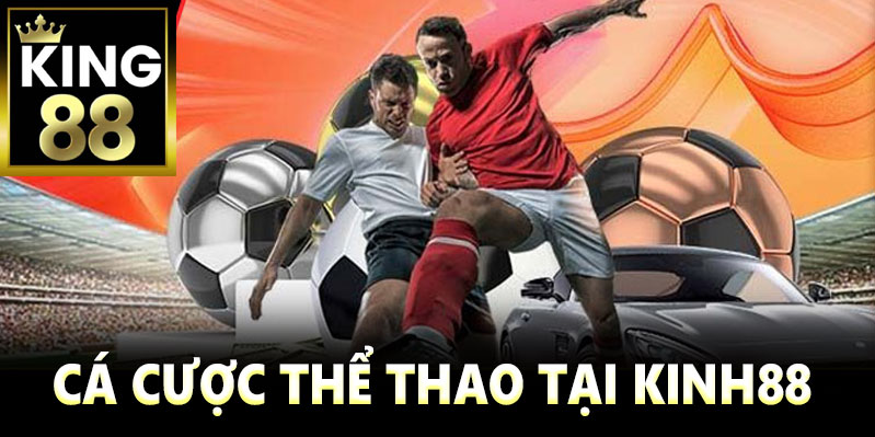 Vị thế của sảnh thể thao Kinh88 trong hệ sinh thái nhà cái